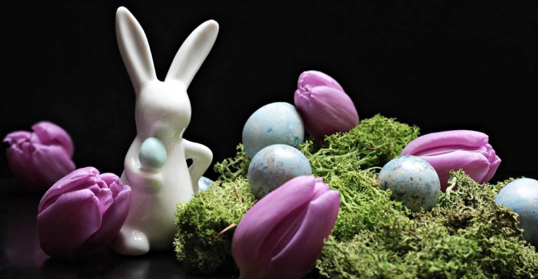 photo lapin de paques